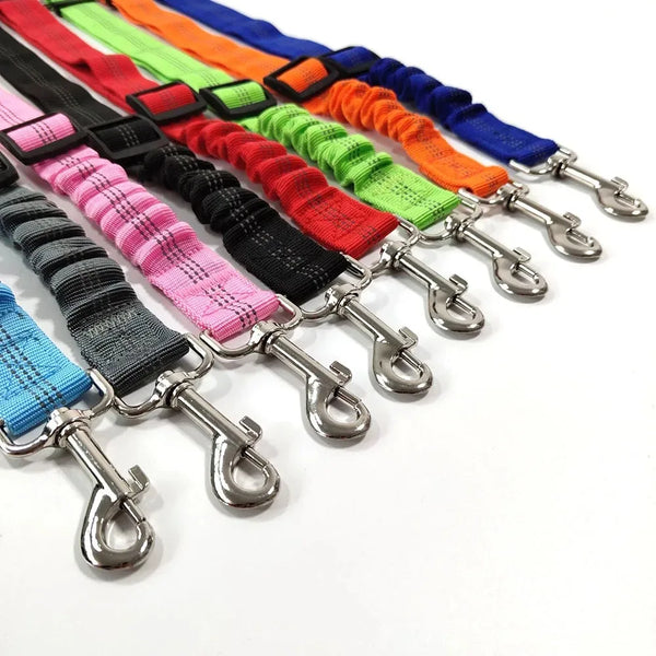 A collection of colorful reflective dog seat belts with adjustable nylon harnesses displayed in a row.