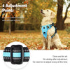 A golden retriever wearing a blue padded pet vest harness outdoors, demonstrating four adjustment points.