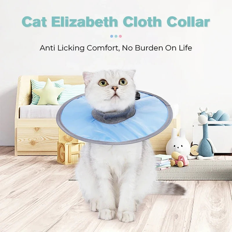 Un chat blanc duveteux portant un collier de collier élisabéthain bleu clair assis sur le sol.