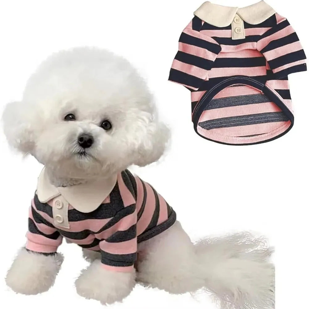 A white poodle wearing a pink and black striped breathable cooling vest dog hoodie.