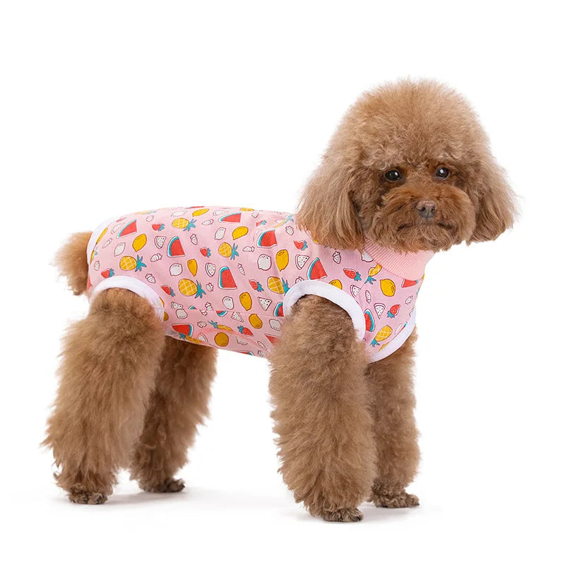 A fluffy brown poodle wearing a pink patterned cotton recovery suit.