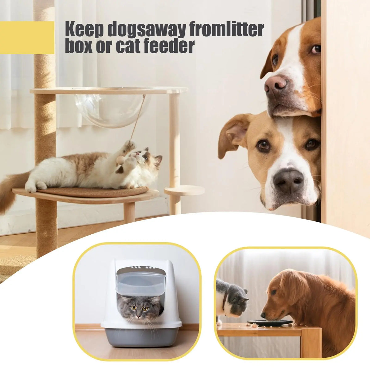 A dog looks intently at a cat peering out of an adjustable latch device designed to keep dogs away from the litter box or cat