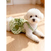 A fluffy white dog wearing a green patterned summer strap dress sitting on a wooden floor.