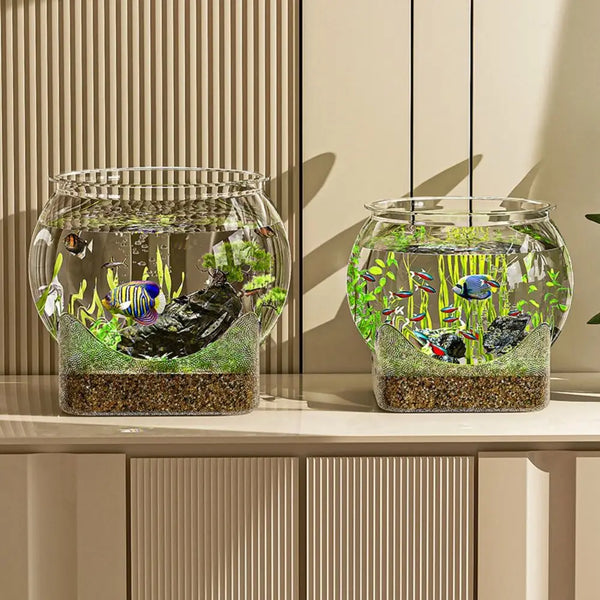 Bacs à poisson en verre clair remplis d'eau et de plantes aquatiques pour aquarium ou décoration de bureau