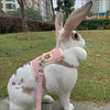 A white rabbit wearing a pink padded harness and leash, standing on grass.