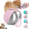 Botella de acero inoxidable rosa para perro con cuenco de silicona y correa rosa, junto a un perro esponjoso.
