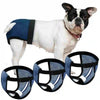 A white and black dog wearing a blue harness and absorbent pads for female dogs.