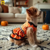 A light golden dog wearing an orange and black pumpkin lace dress sitting on a rug.