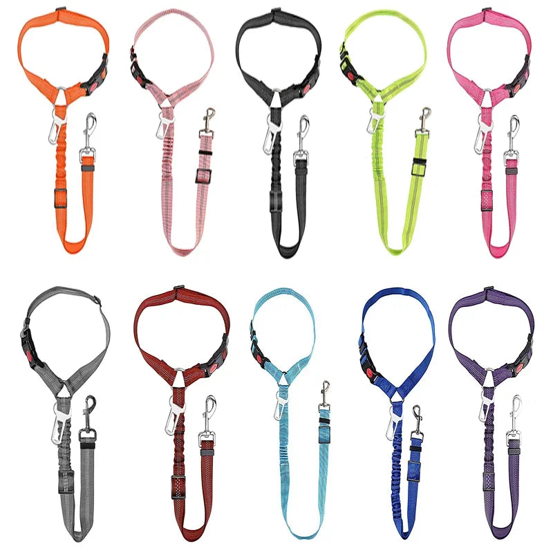 Colección de correas ajustables para mascotas en colores naranja, rosa, negro, verde y morado.