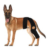 A brown German Shepherd dog wearing a black joint support harness.