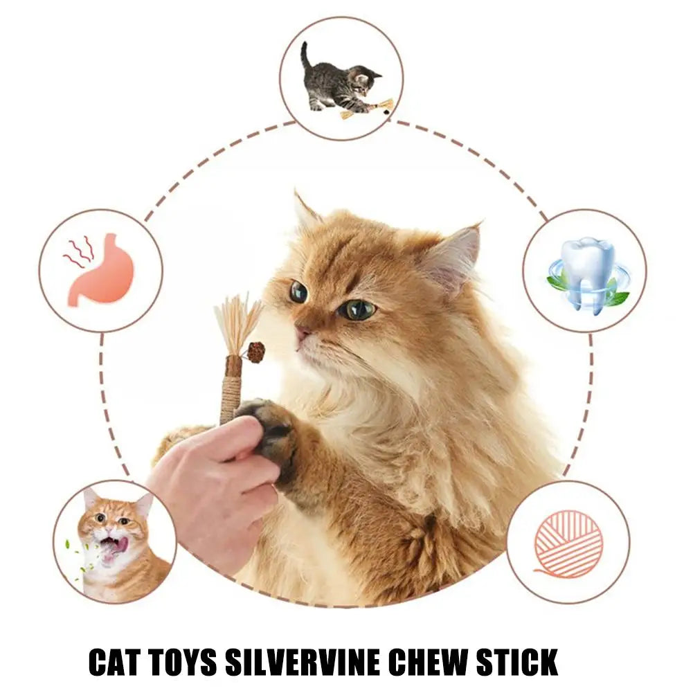 A person is holding a silver vine cat chew stick toy near a fluffy orange tabby cat.