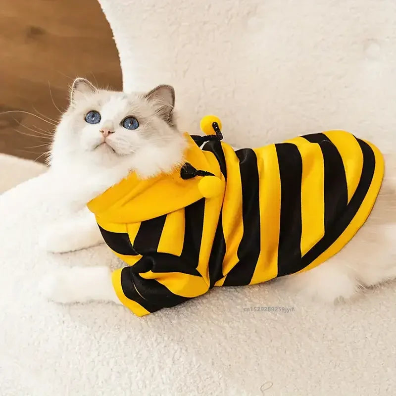 A white cat wearing a yellow and black striped bee-themed hoodie lies on a white surface.