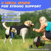 Two black metal strips for strong support on a dog's knee, shown in use.