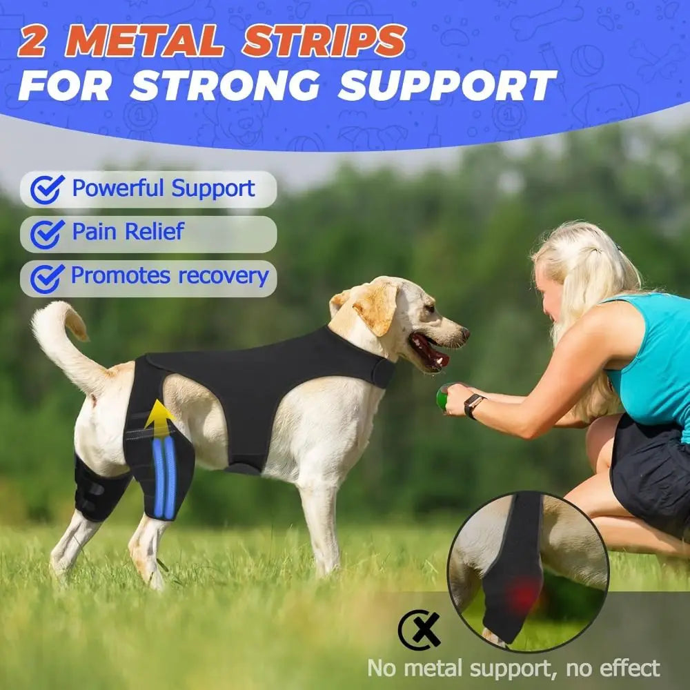 Two black metal strips for strong support on a dog's knee, shown in use.