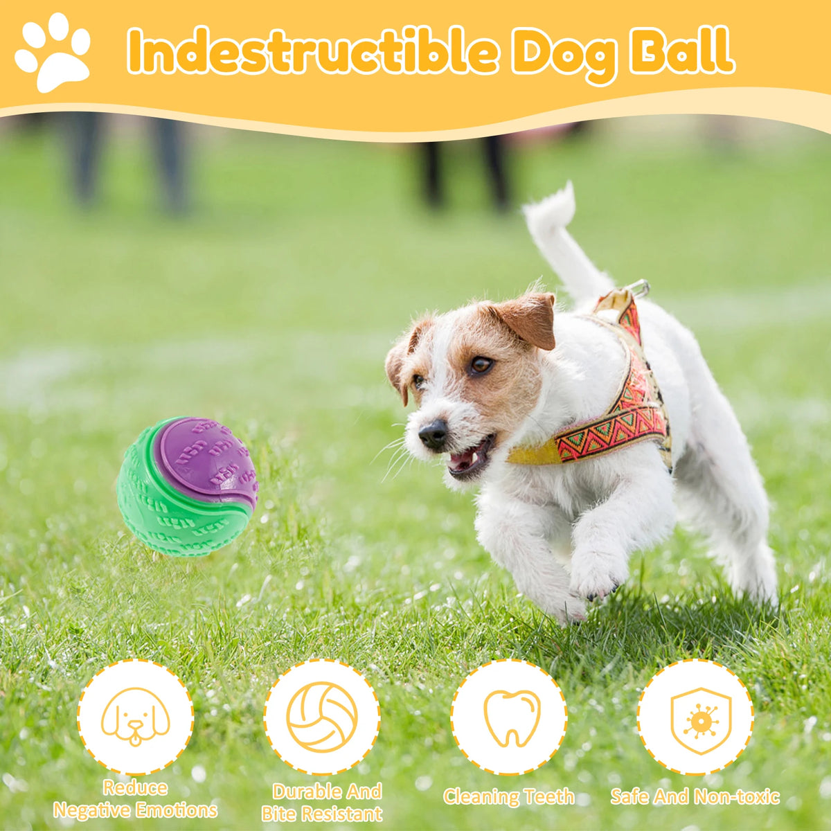 A dog is playing with an indestructible dog ball on the grass, demonstrating its use for cleaning teeth.