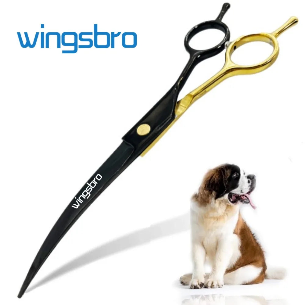 Ein Paar schwarze und goldene gebogene Hunde-Grooming-Schere mit gelbem Lichtreflex auf der Klinge.