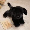 A small black plush dog toy resembling a puppy is lying on a light-colored surface next to a card.