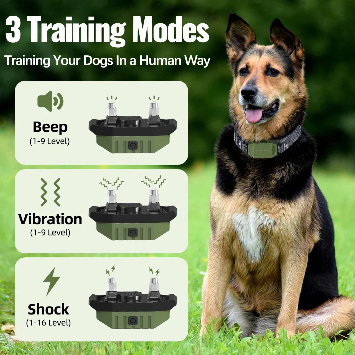 Ein Hund sitzt im Gras neben drei Trainingsmodi: Piepen, Vibration und Schock.
