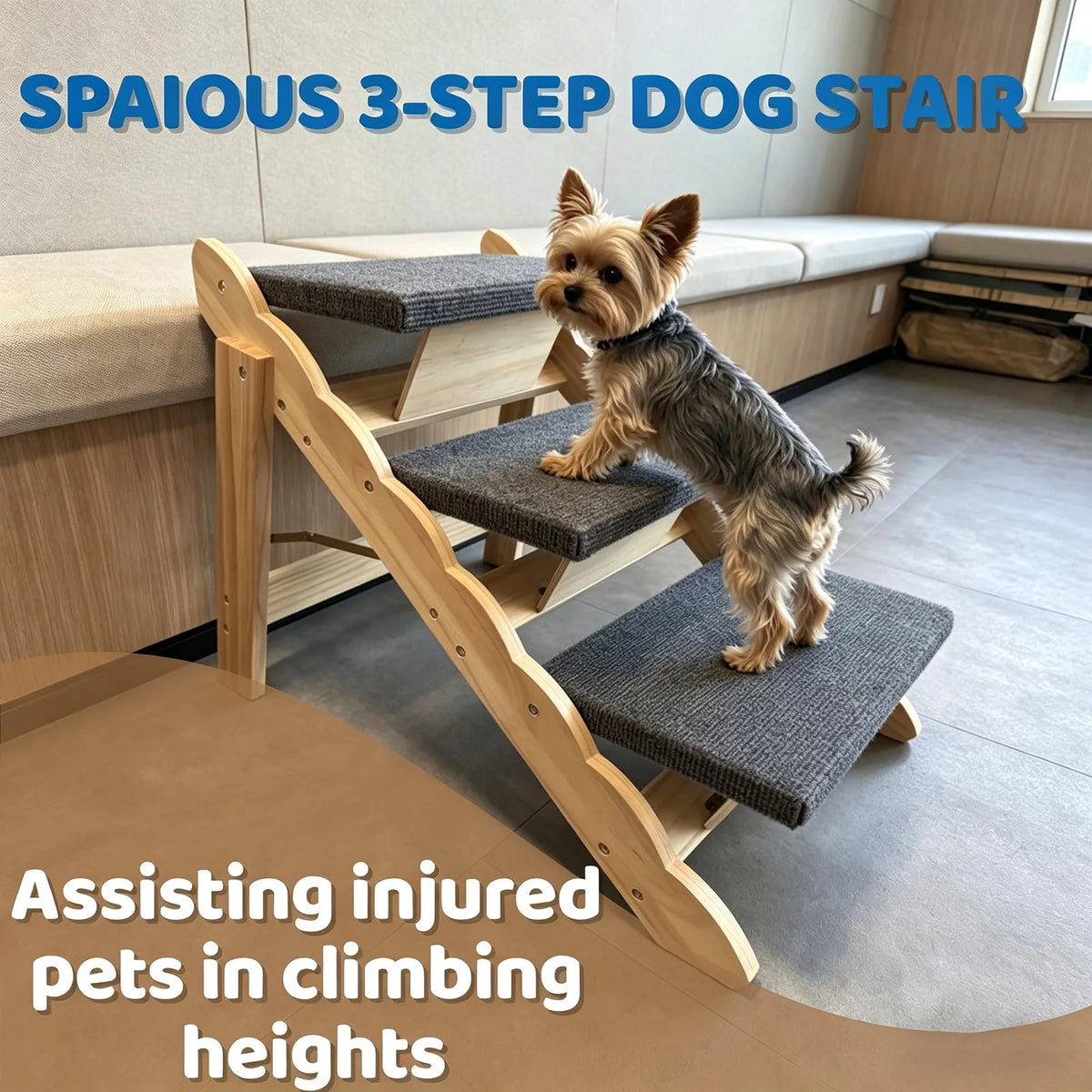 Ein Hund benutzt eine hölzrige 3-stufige Treppe, um auf eine Oberfläche zu klettern, und demonstriert Hilfe für verletzte Hau