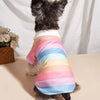 A small dog wearing a colorful striped polo shirt with pink, yellow, and blue horizontal stripes.