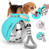 Ein Hund interagiert mit einem tragbaren Edelstahl-Wasserdispenser mit türkisfarbener Abdeckung und Silikon-Schlauch.