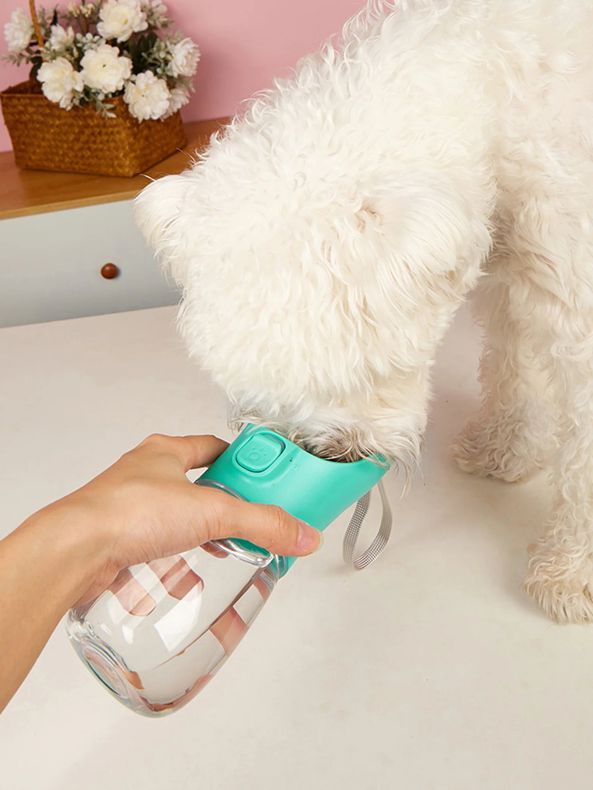 A person holds a teal portable leakproof dog water bottle with a built-in bowl near a white fluffy dog's head.