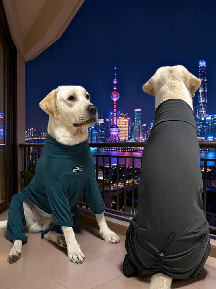 A golden retriever wearing a dark green cozy dog pajama stands on a balcony overlooking a city skyline at night.