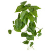Décor de mur en lierre vert artificiel avec de grandes feuilles vertes.