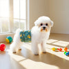 A fluffy white dog wearing a green patterned sanitary wrap stands on a light wooden floor near a window.