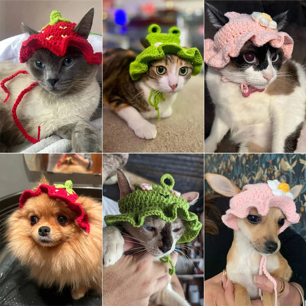 A collage of handmade woven cat and puppy headwear featuring various colors and styles.