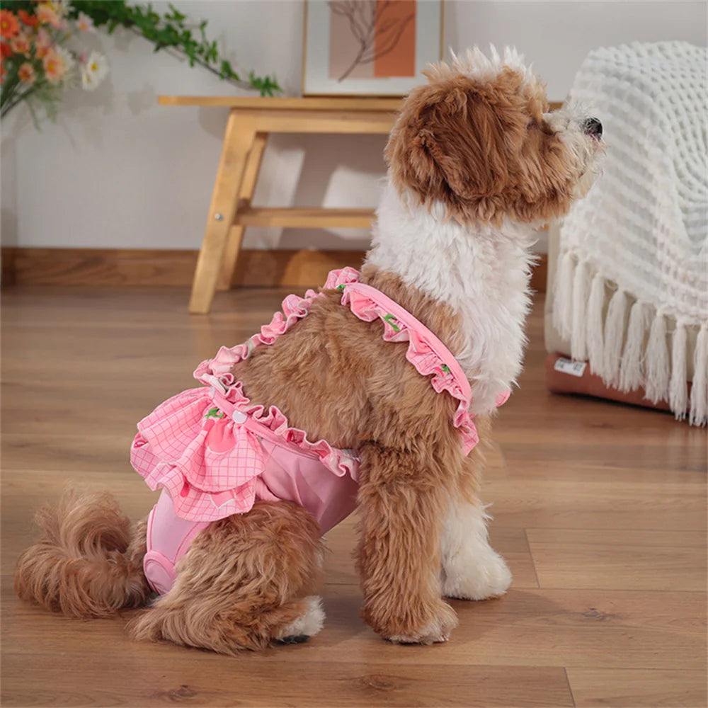 A fluffy brown and white dog wearing pink reusable diaper pants in a domestic setting.