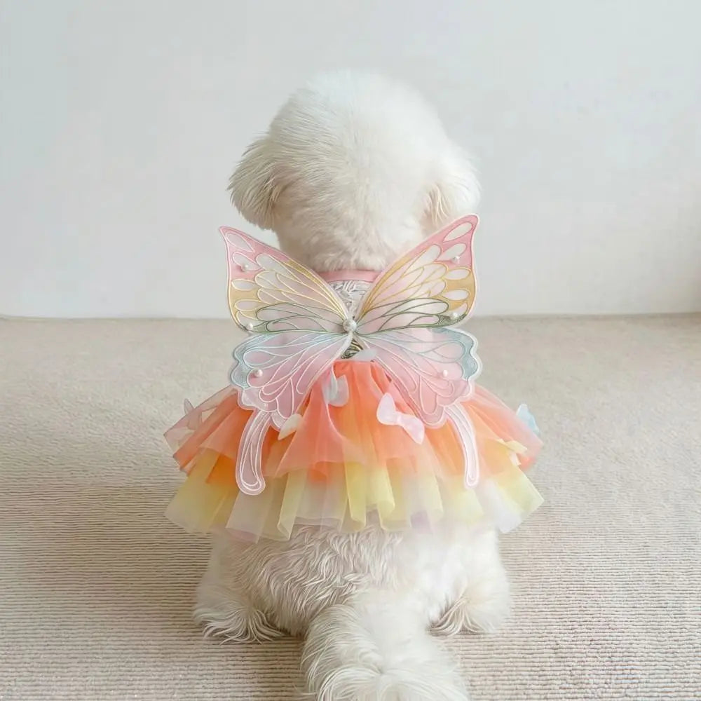 A white dog wearing a pink and orange rainbow butterfly pet dress.