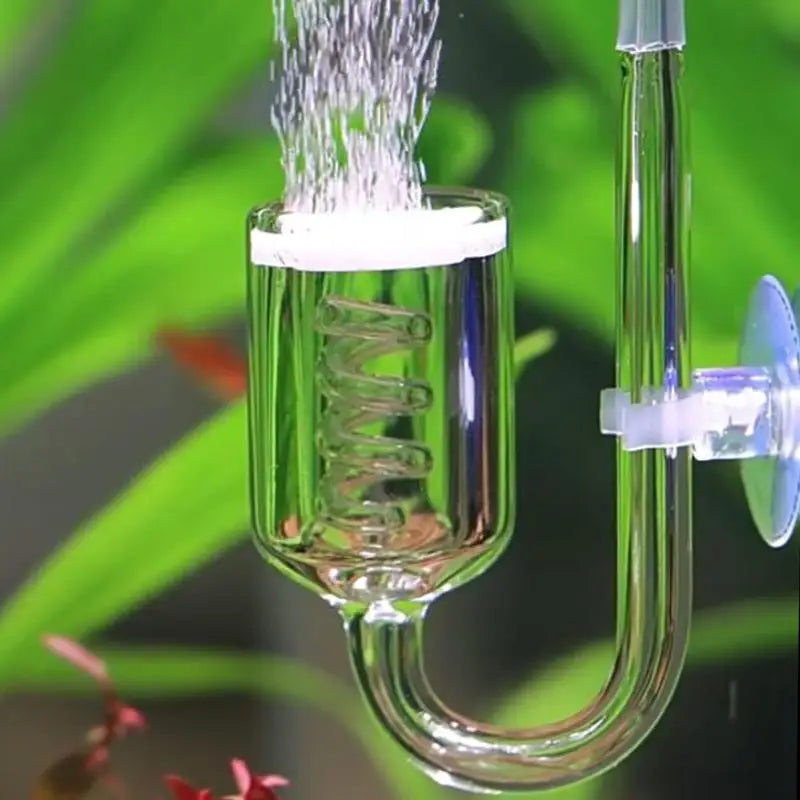 A clear aquarium CO2 diffuser with a suction cup is shown dispensing fine mist into water.