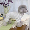 كلب بودل رمادي يرتدي بدلة مخططة بالأسود والأبيض ويجلس على حصيرة خضراء فاتحة.
