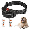 A black USB rechargeable dog bark collar with a leather strap and a golden retriever sitting next to it.