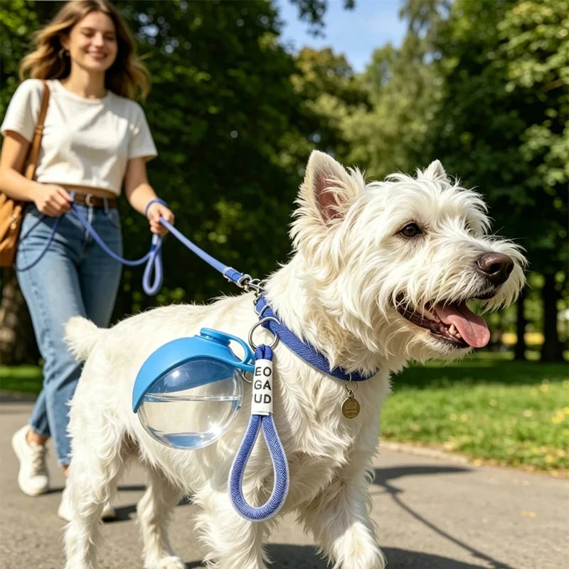 A white dog wearing a blue portable water bottle with a lanyard is being walked by a woman outdoors.