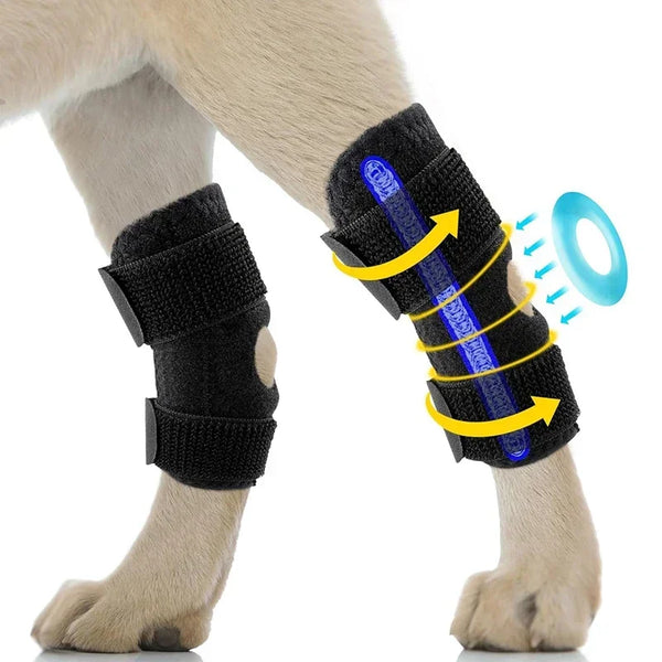 Black comfort knee pads for dog joint support worn on a dog's leg.