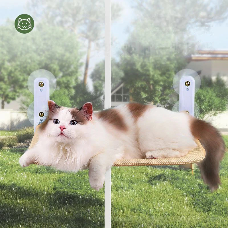 A fluffy white and brown cat is relaxing on a suction cup hammock designed for windowsills or glass.