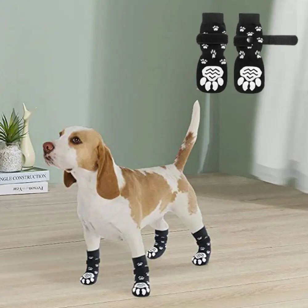 A light brown and white dog stands on a wooden floor next to black anti-slip socks designed for paw protection.