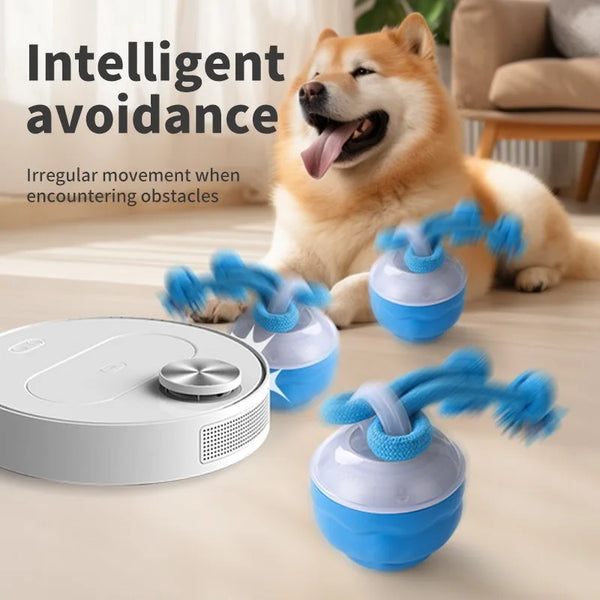 Ein flauschiger Hund interagiert mit einem intelligenten Vermeidungstspielzeug aus blauem Seil und Silikonkomponenten.