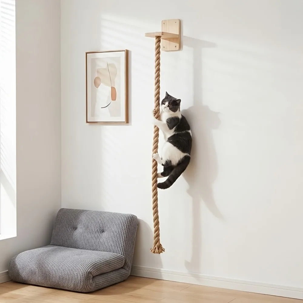 A black cat is climbing a natural fiber rope wall mounted scratching post on a white wall.