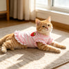 Un gato atigrado naranja y esponjoso vistiendo un vestido rosa a rayas con bordado de fresa, tumbado en una alfombra clara ce