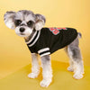 A small, fluffy dog wearing a black sweater with white stripes and red numbers on its chest.