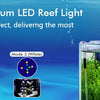Vollspektrales LED-Reeflicht beleuchtet eine Meeresaquariumseinrichtung mit verschiedenen Lichtmodi.