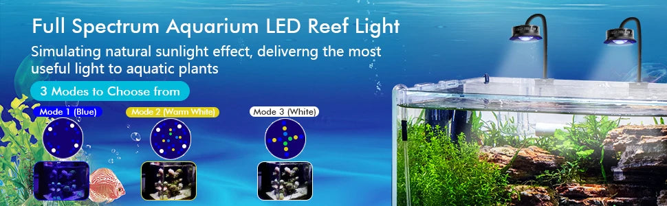 Vollspektrales LED-Reeflicht beleuchtet eine Meeresaquariumseinrichtung mit verschiedenen Lichtmodi.