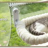 A domestic cat is relaxing in a fluffy, beige hammock-style perch suspended by suction cups near a window.