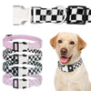 A close-up of an adjustable black and white checker pattern dog collar and leash attachment.