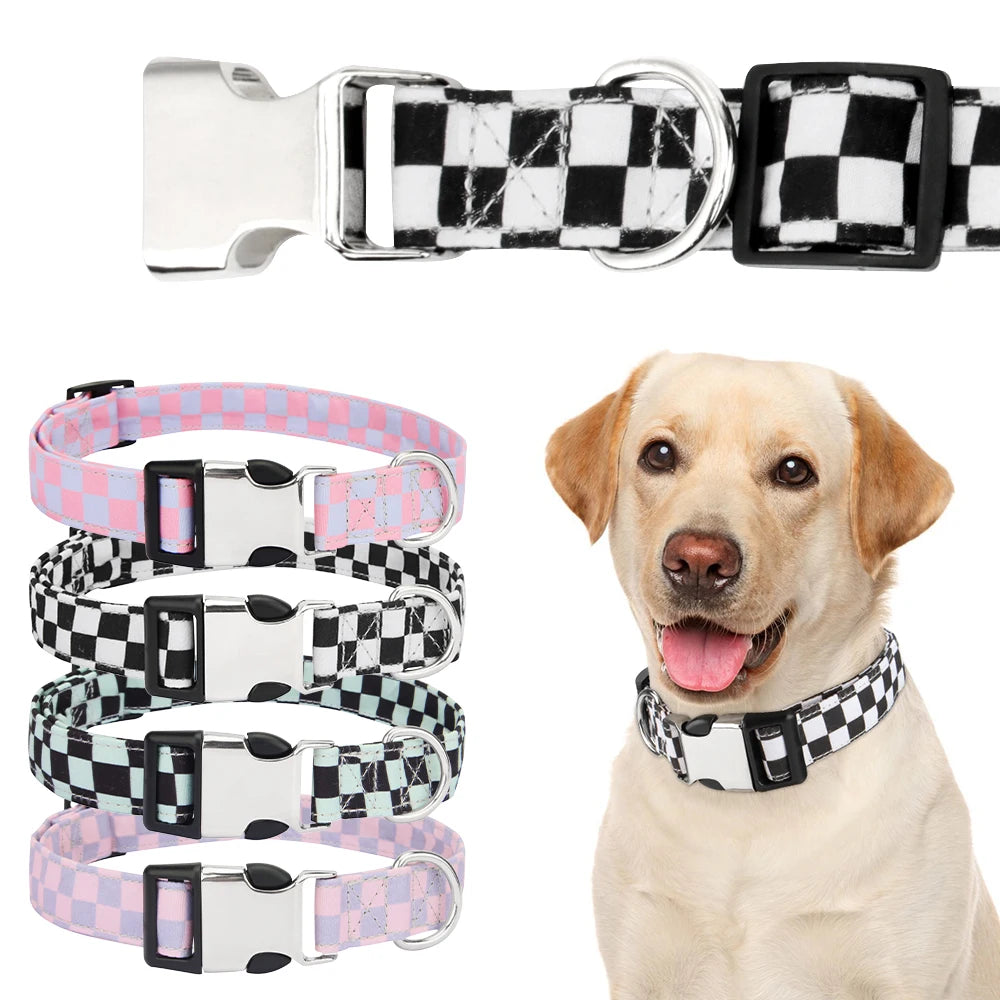 A close-up of an adjustable black and white checker pattern dog collar and leash attachment.