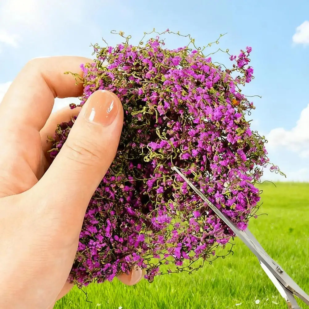 Eine Hand hält eine Ansammlung lila Miklandschaft-Rankenwanddekoration mit winzigen rosa Blüten vor einem grünen Feld.