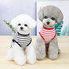 A fluffy white dog sits next to a gray dog, both wearing striped sleeveless vests.